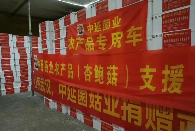 满载着成都人民关爱的20吨新鲜杏鲍菇驰援湖北