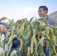 范宝明：退伍不褪色,让荒山变良田